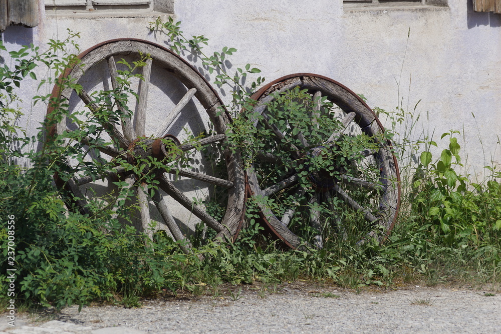 old wagon wheel in the garden
