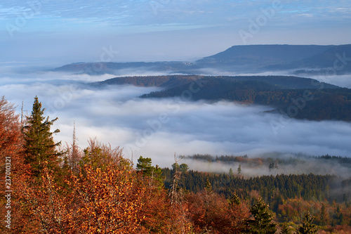 Nebel am frühen Morgen