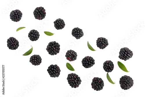 Blackberries isolated on white, top view