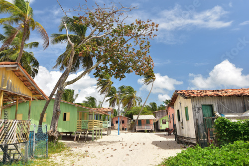 Marajo Island, Brasil photo