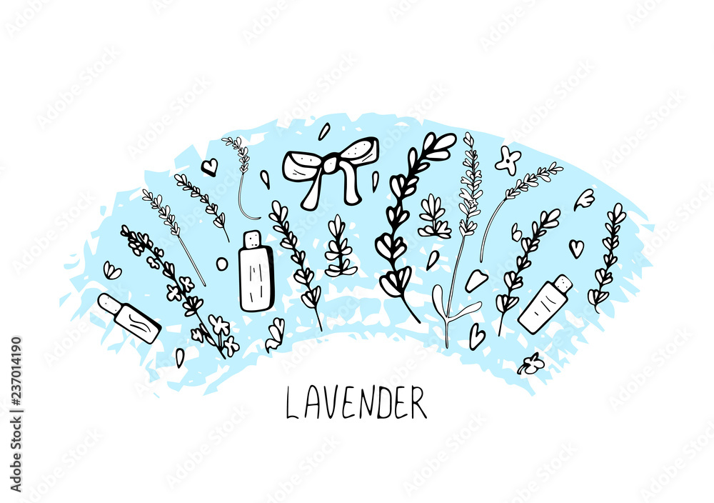 Lavender set composition in doodle style. Lavender set composition in doodle style.