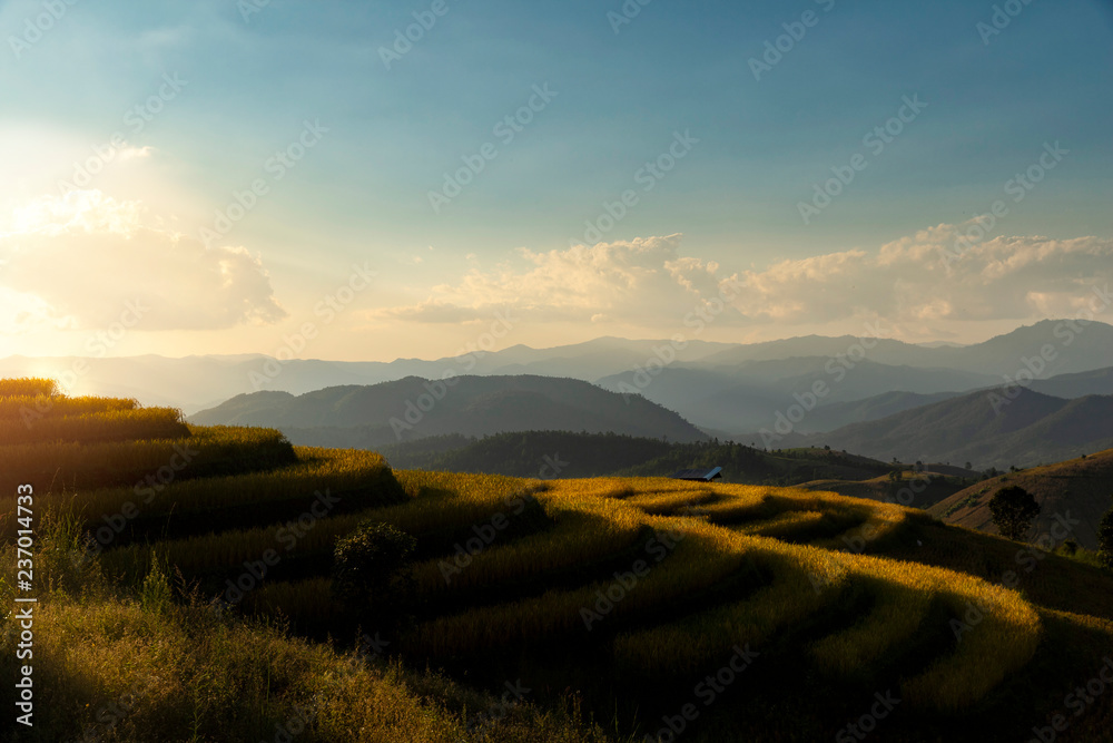Beautiful landscape view of rice terraces in chiang mai , Thailand.