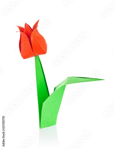Red tulip of origami