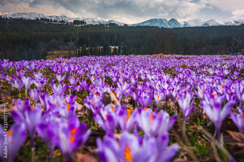 Spring in polish Tatra Mountains