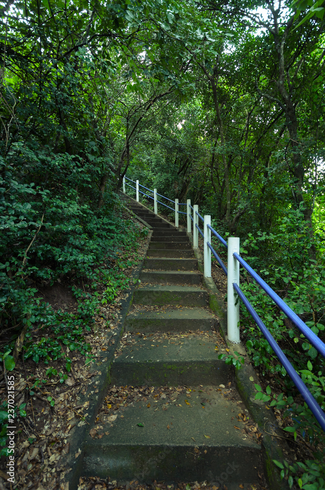 Stairway to jungle ,Ao Manao, Prachuap Khiri Khan Thailand.