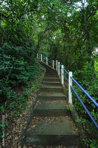 Stairway to jungle  Ao Manao  Prachuap Khiri Khan Thailand.