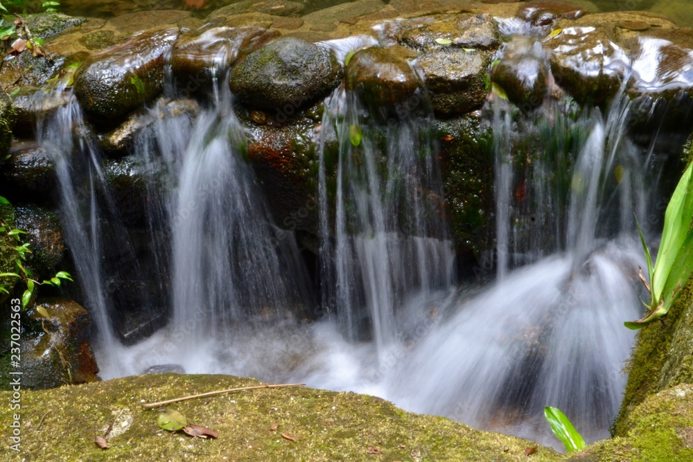 Obraz premium waterfall in the forest