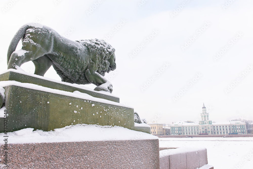 Lion Sculpture in St. Petersburg on the Admiralteiskaya embankment opposite Kunstkamera in St. Petersburg