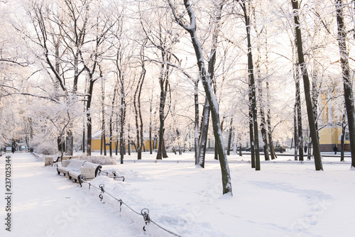 Beautiful winter park. Snowy winter in the city. Russian winter. © Dina Photo Stories