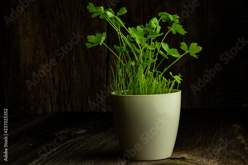Tapety artystyczne Pietruszka