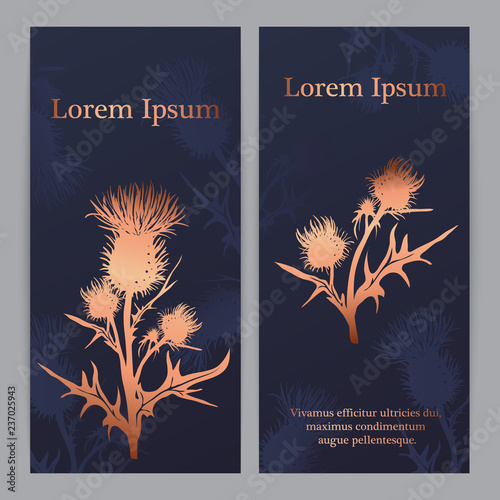 Decorative vector thistle (Carduus acanthoides) silhouette