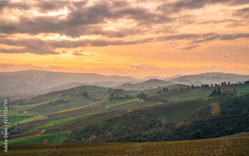 The hills in the southwest of Bologna; production area of typical wine named Pignoletto. Bologna province, Emilia Romagna, Italy.