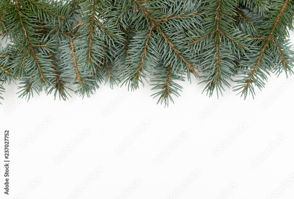  white festive background, with green branches and Christmas decorations
