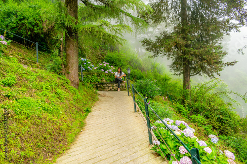 the lady in the garden, Landour- with low floating clouds/ mist/ fog all around photo