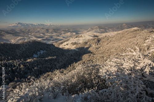 Obraz na płótnie Zima w Pieninach,widok z Wysokiej na Tatry. w salonie