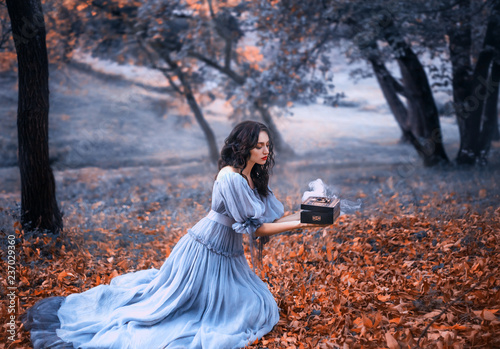 attractive brunette girl sits in a dark forest on fallen autumn orazhevyh leaves, dressed in a gray vintage dress with bare shoulders, holding in her hands an open Pandora's box full of evil, misery photo