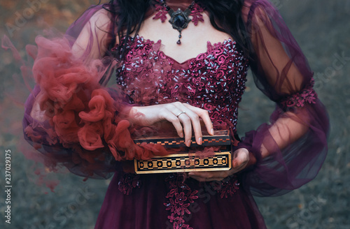 legend of Pandora's box, girl with black hair, dressed in a purple luxurious gorgeous dress, an antique casket opened, produces red smoke outside, along with diseases and curses. no face on art photo photo