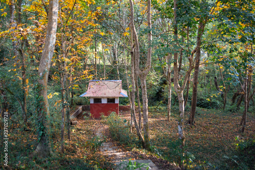 A old non leaving forest house in dense forest