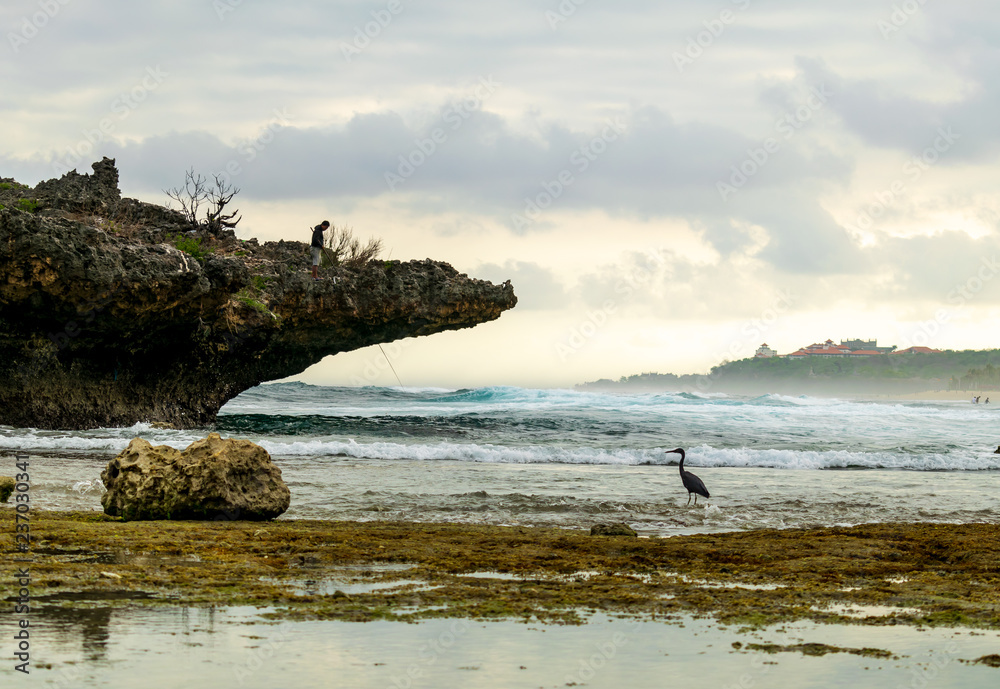 rocks, the bird and the sea