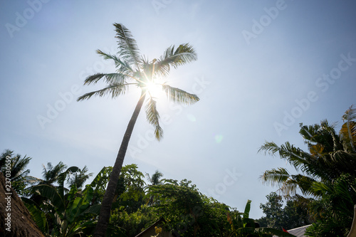 Gili Islands