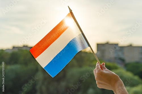 Εκτύπωση καμβά Hand holding Netherlands flag an open window