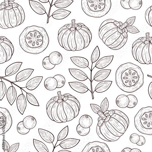 Garcinia. Leaves, fruit. Sketch. Background, wallpaper, seamless, texture. photo