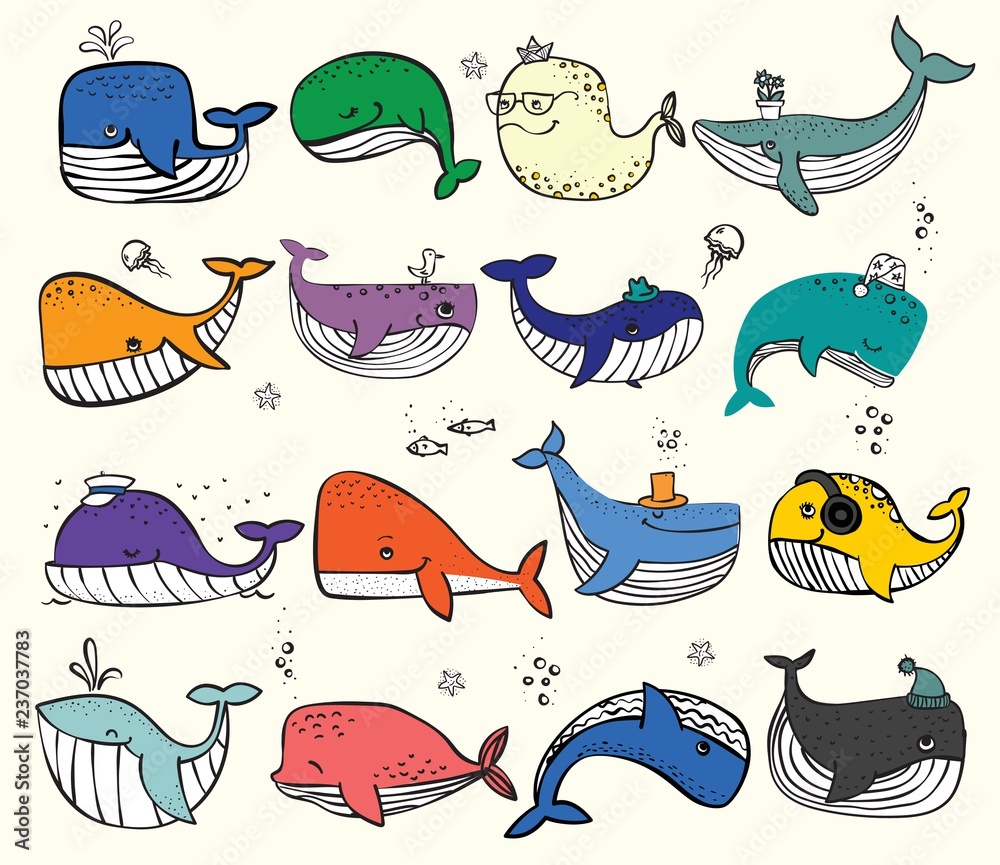 Fototapeta premium Ilustracja wektorowa z ładny wielorybów oceanicznych w kolorze i innych mieszkańców morza - wektor