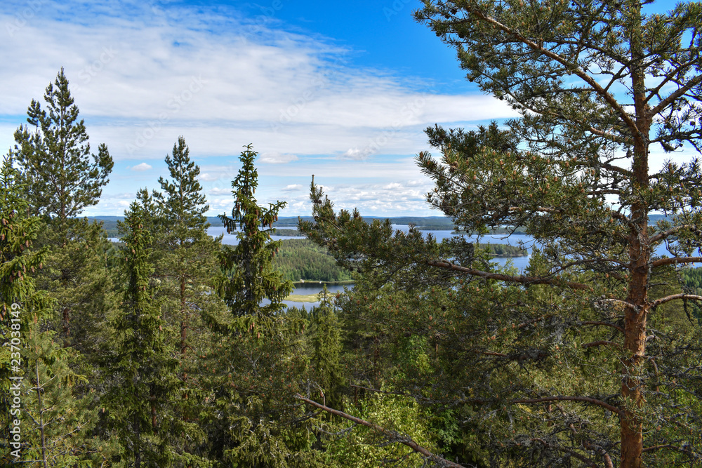 Lake Päijänne, the second largest lake in Finland, surrounded by dense forest.