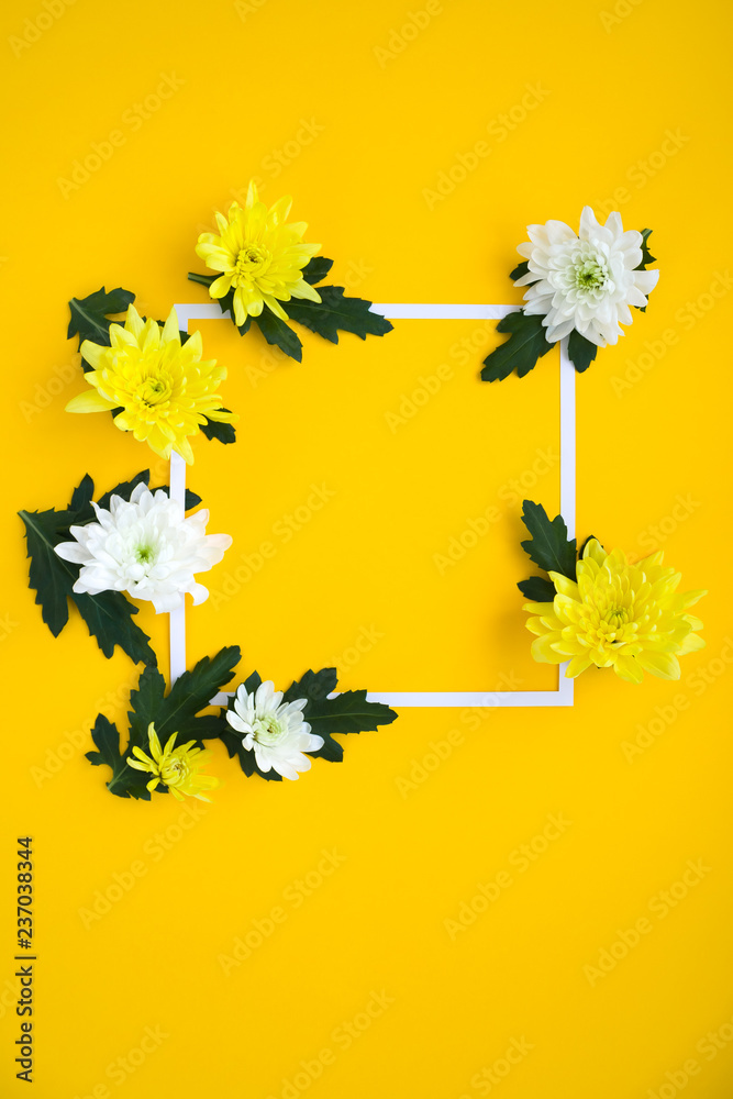 Square frame. white and yellow chrysanthemums on a yellow background Square frame. white and yellow chrysanthemums on a yellow background