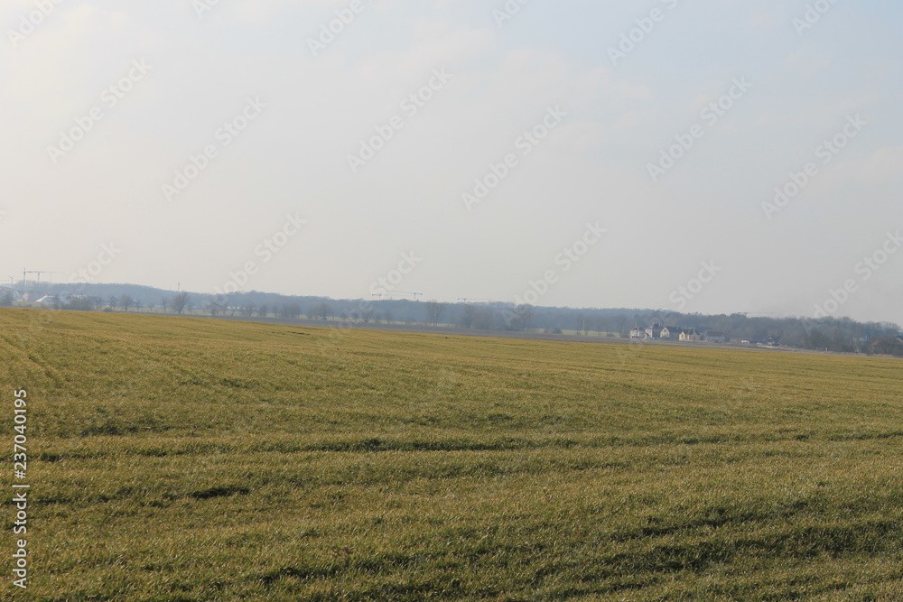 landscape, sky, field, grass, nature, green, blue, land