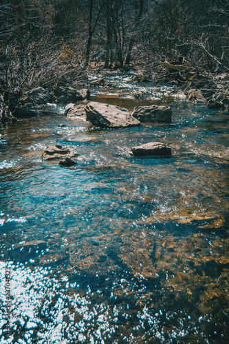 Fototapeta Naklejka Na Ścianę i Meble -  A river flowing