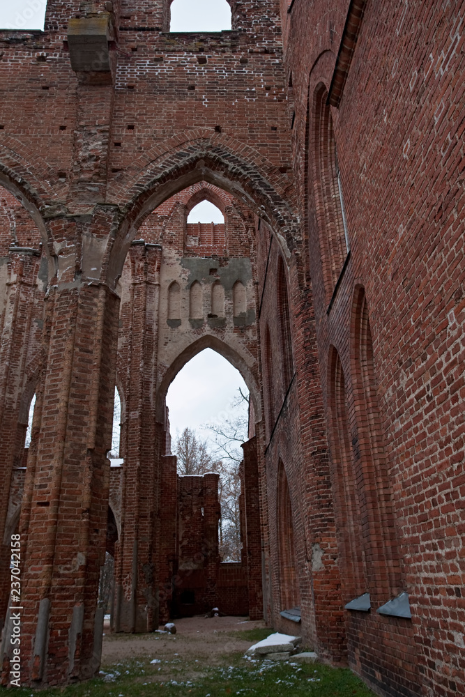 Tartu cathedral in winter. Estonia