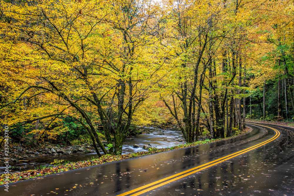 Road Curves Through Smoky Mountain Autumn Color Road Curves Through Smoky Mountain Autumn Color
