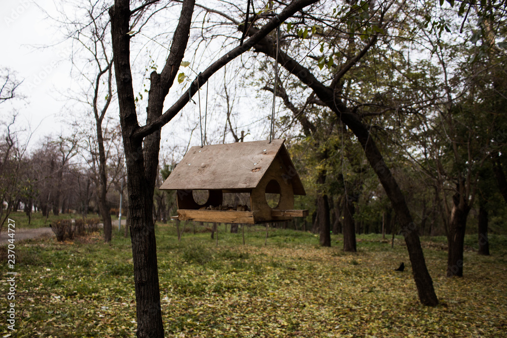 old house in the forest