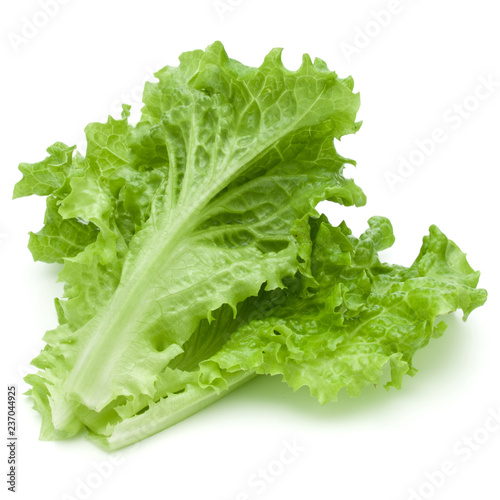 1fresh green lettuce salad leaves isolated on white background