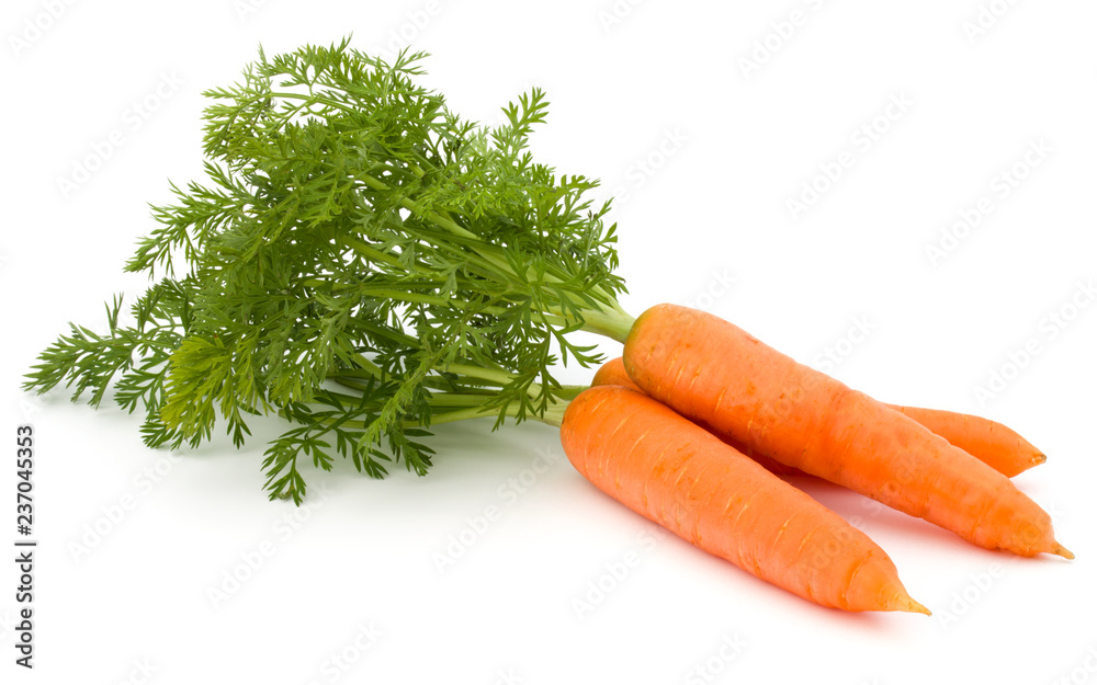 Carrot vegetable with leaves isolated on white background cutout - obrazy, fototapety, plakaty 