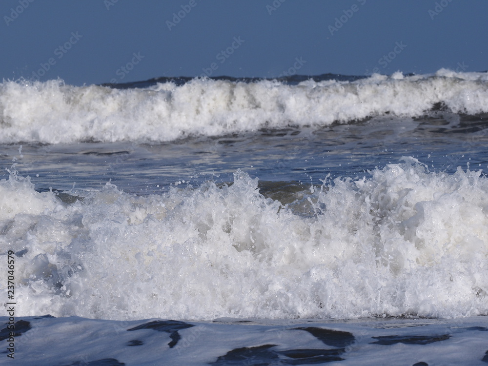 Fototapeta premium OLYMPUS DIGITAL CAMERA