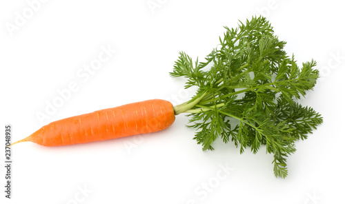 Carrot vegetable with leaves isolated on white background cutout photo