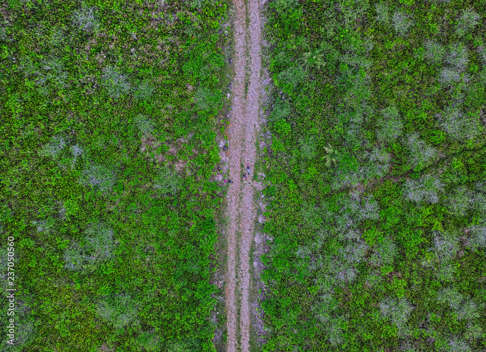 aerial-top-view-of-a-trail-in-the-middle-of-a-forest-located-in-the