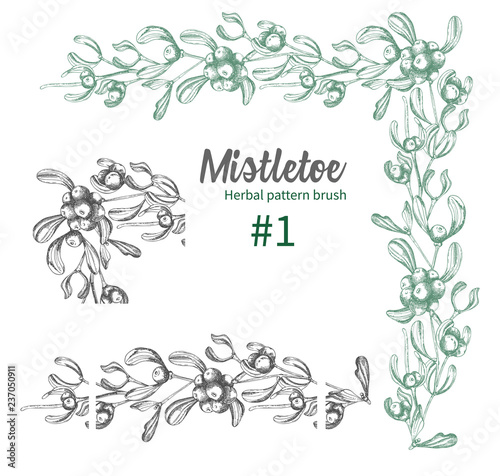 Set of hand drawn botanical sketch mistletoe branches. Vintage style. Traditional christmas decoration. For design holiday card, invitation, poster, banner