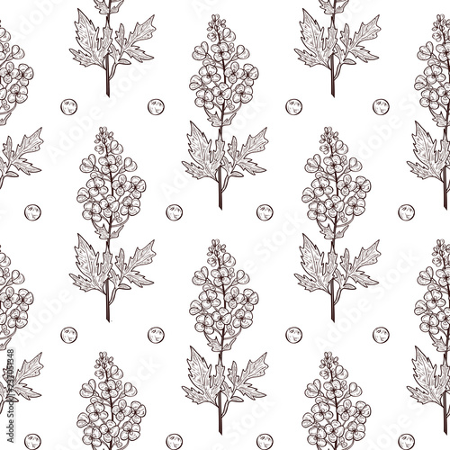 Mustard. Plant. Flower, leaf, stem, seed. Background, wallpaper, texture, seamless. Monochrome. Sketch.