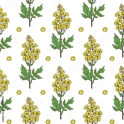 Mustard. Plant. Flower, leaf, stem, seed. Background, wallpaper, texture, seamless. Sketch.