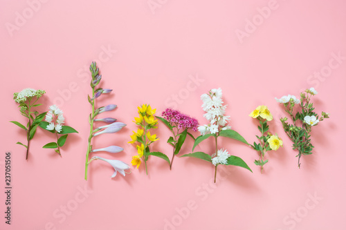 Different meadow wild flowers on pink background. Floral composition. View from above.
