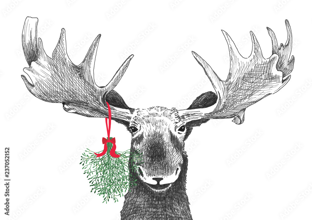 Fun Christmas moose with mistletoe in funny holiday tradition of