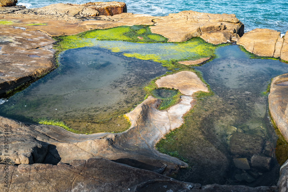 Unusual background of stones, algae and water made by nature on the ocean