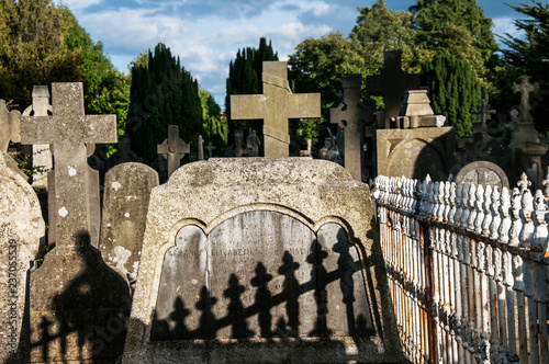Photography The Glasnevin cemetery
