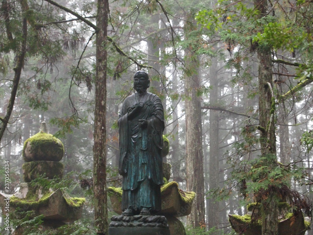 Fototapeta premium mont koya 