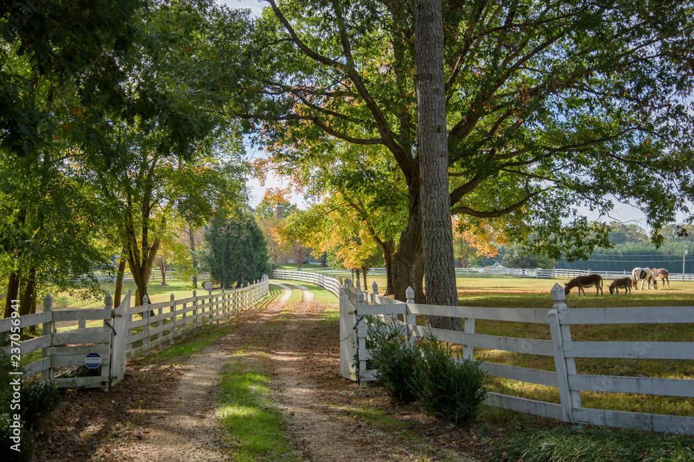 Rural horse farm scenic in autumn., Smithfield, Virginia Rural horse farm scenic in autumn., Smithfield, Virginia