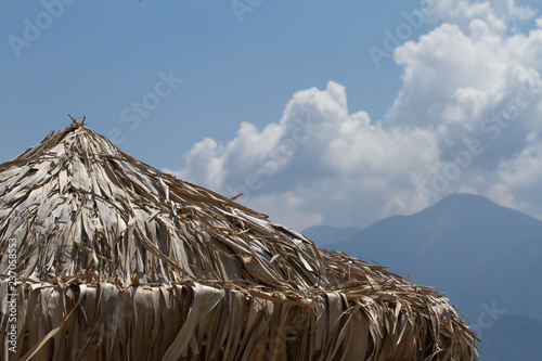 Reed Beach umbrellas