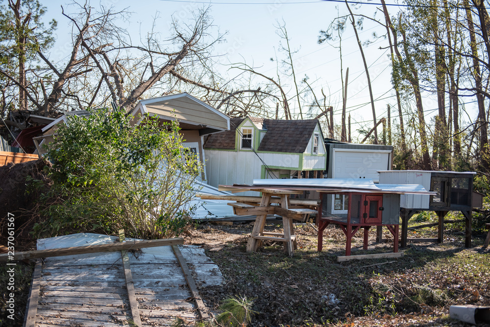 Hurricane Michael Devastation in the Panhandle of Florida